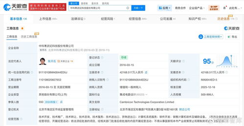 寒武纪投资版图揭秘 计算机系统服务的双引领策略与新空间布局
